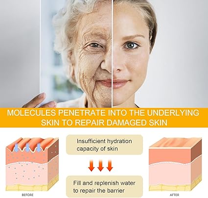 Eelhoe – Ginseng & Niacinamide Anti-Wrinkle Essence (Original) Souq Al Riyad